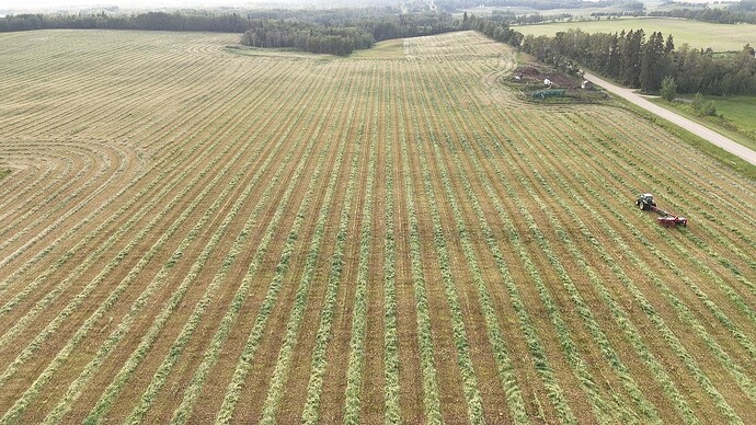 dji_fly_20250829_183218_0_1756513938376_photo_low_quality