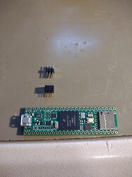 IMG_20250323_082615341