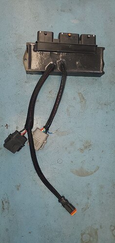 photo_2026-03-02_16-04-18