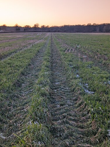 PXL_20260105_160545559