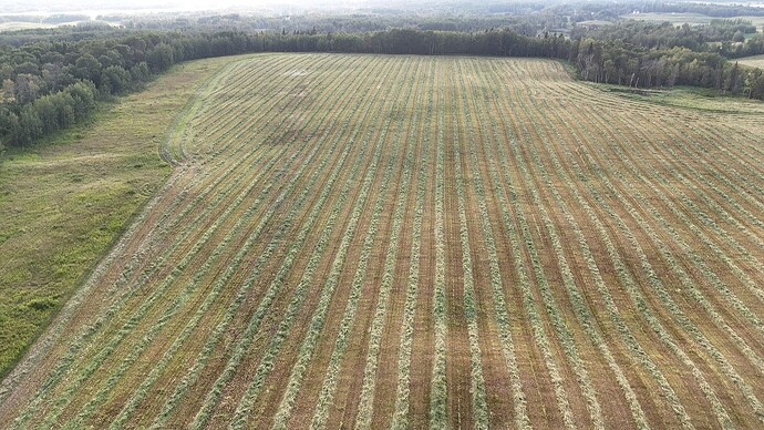 dji_fly_20250829_183257_0_1756513977077_photo_low_quality