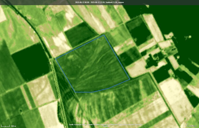 2025-06-12-00_00_2025-06-12-23_59_Sentinel-2_L2A_custom