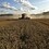 FiveFinnishFarmers